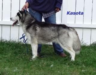 Photo of Heely’s Kasota When Darkness Calls