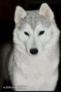 Photo of Karnovanda’s Emma Frost