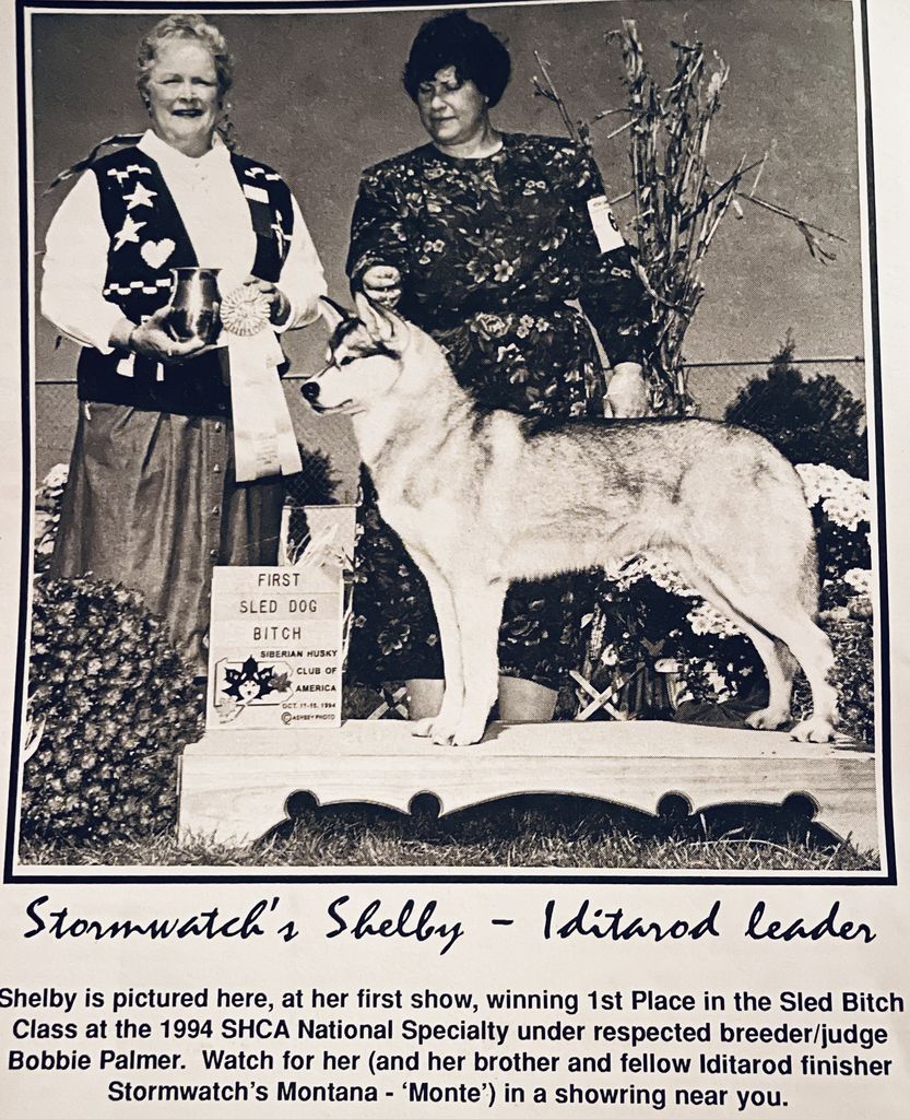 Photo of Stormwatch’s Shelby