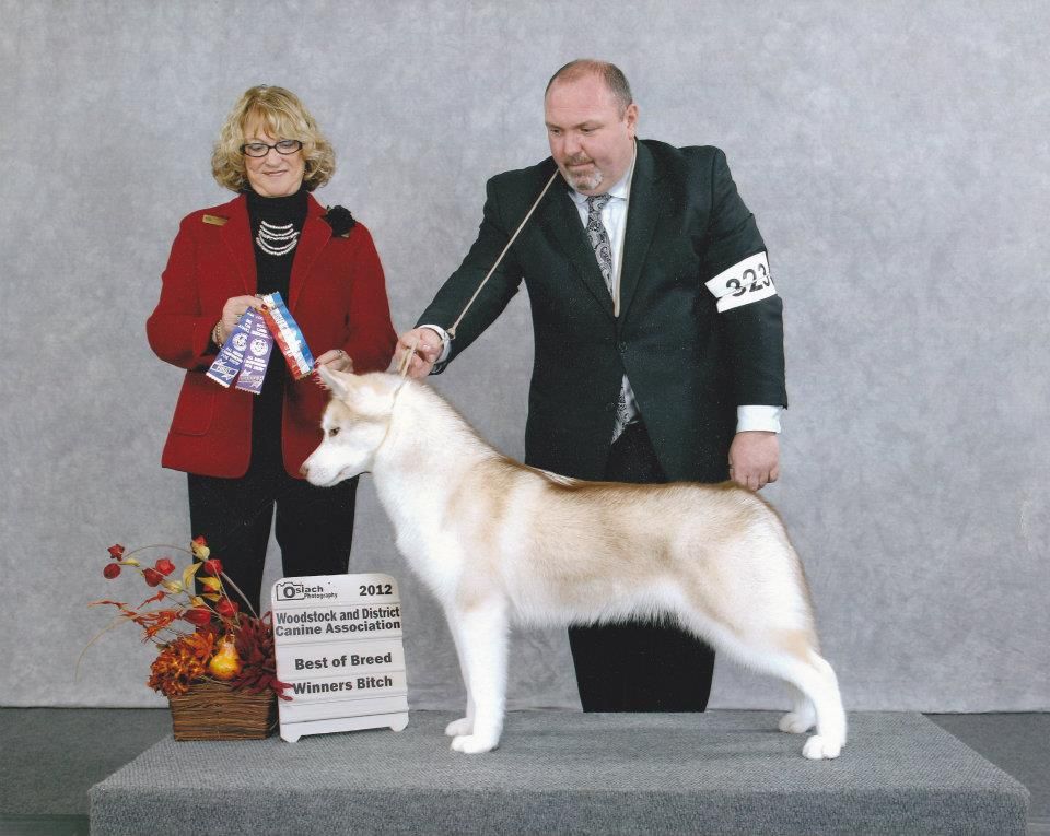 Photo of Unicornhill Untold Story