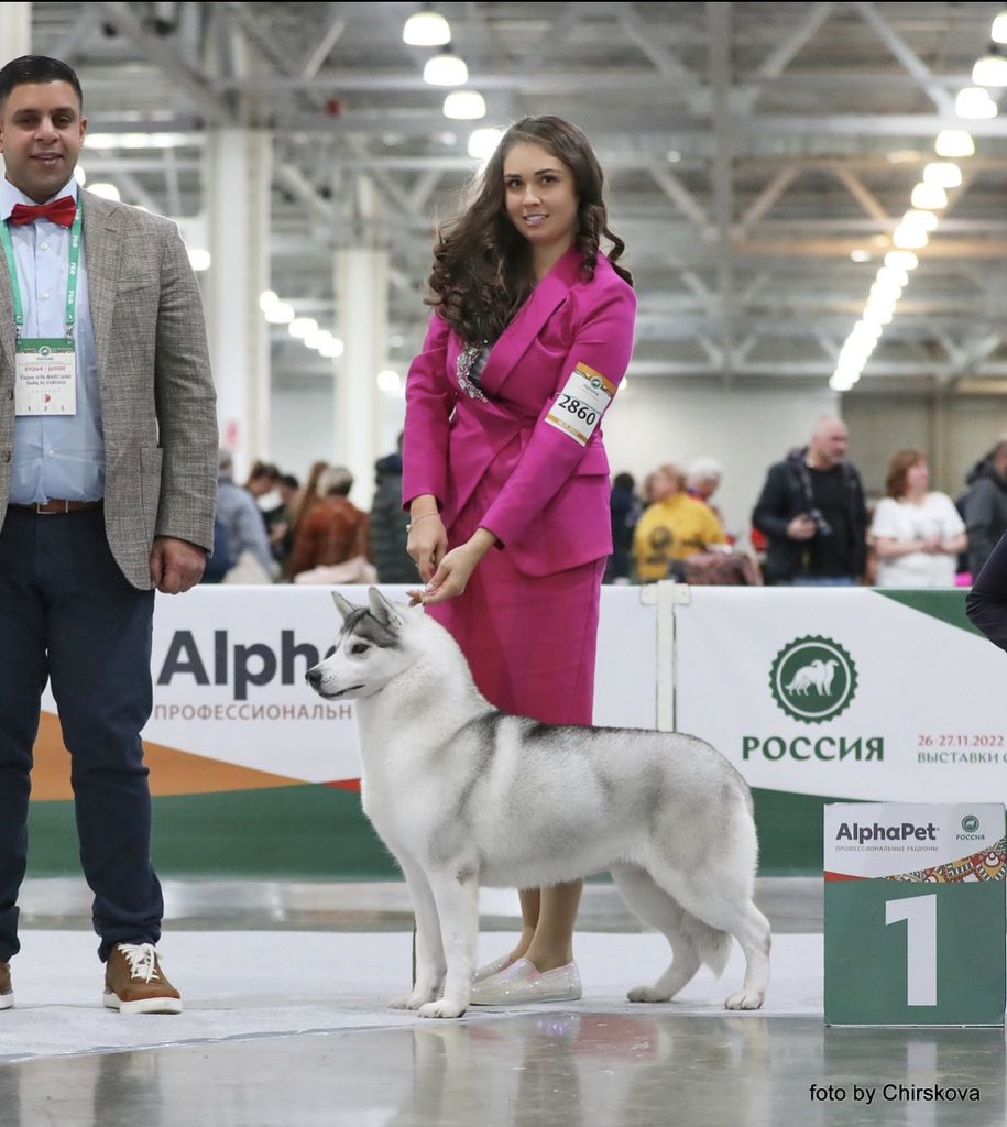 Photo of All About Orinoco Asti Dog House