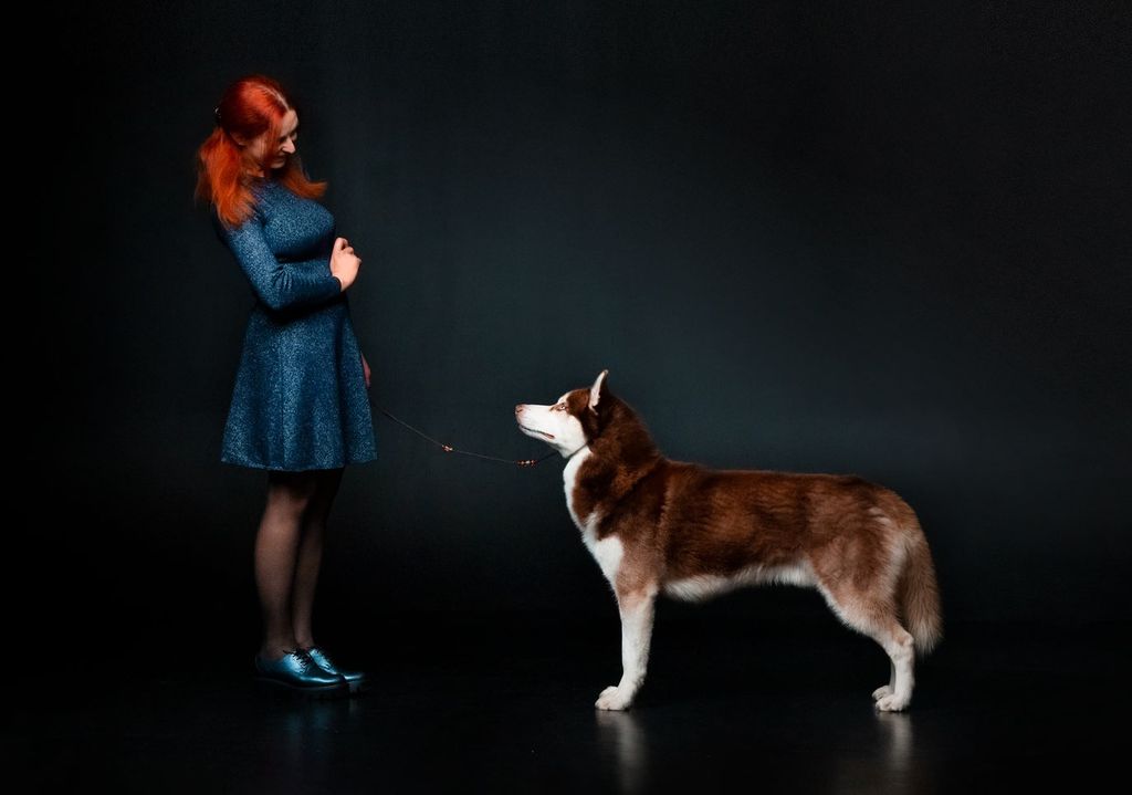 Photo of Tantal Viking Verniy Strazh