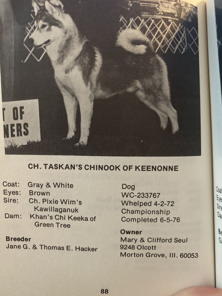 Photo of Taskan’s Chinook of Keenonne