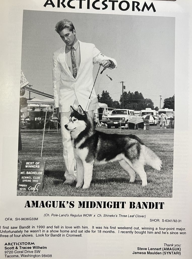 Photo of Amaguk’s Midnight Bandit