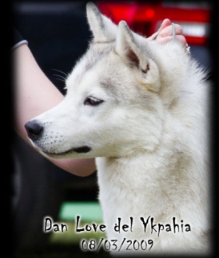 Photo of Dam Love Del Ikpahia