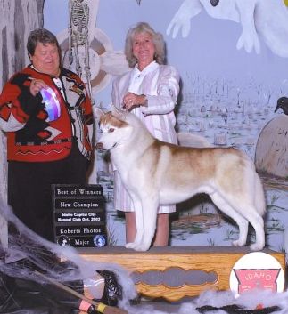 Photo of Husker Dus Ember Essence