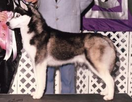 Photo of Echo Call’s Buckeye
