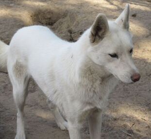 Photo of Friendly Neighborhood Shaytaan