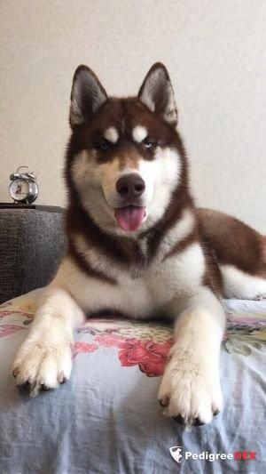 Photo of Olimp