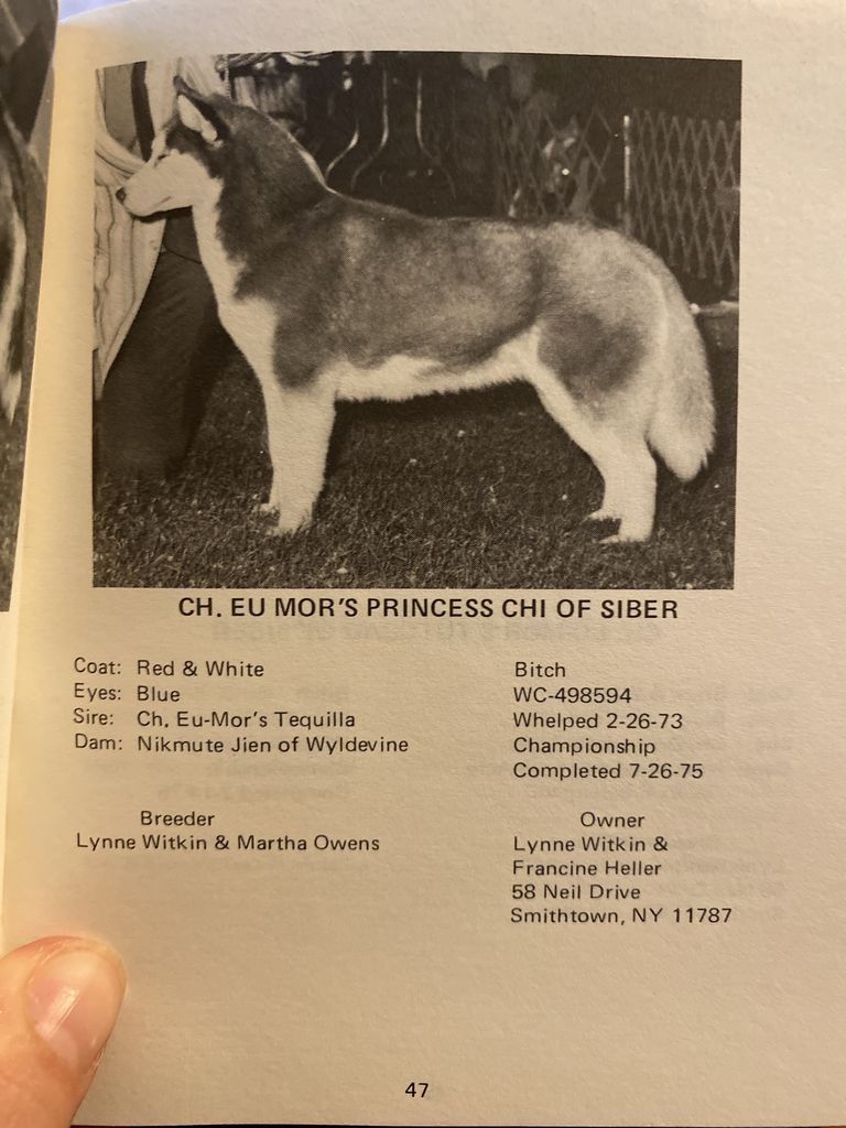 Photo of Eu-Mor’s Princess Chi of Siber