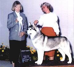 Photo of Husker Du’s Sir Shaktoolik