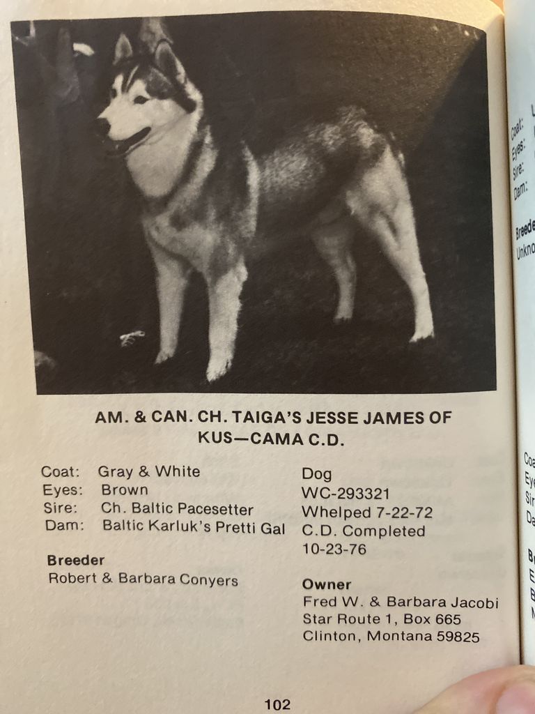 Photo of Taiga’s Jessie James of Kus-Cama