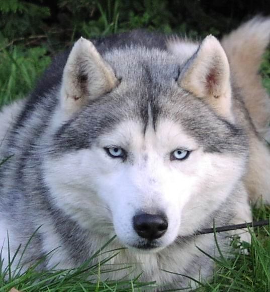 Photo of Liubov's Ukioq