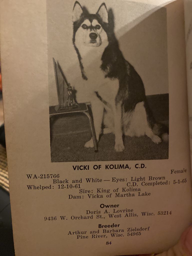 Photo of Vicki of Kolima