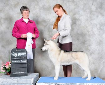 Photo of Wolvereen She-Bear