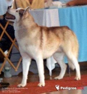 Photo of Demavand’s Sa-Shunka Of Sno-Den