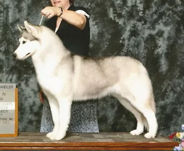 Photo of FullMoon’s Photo Finish