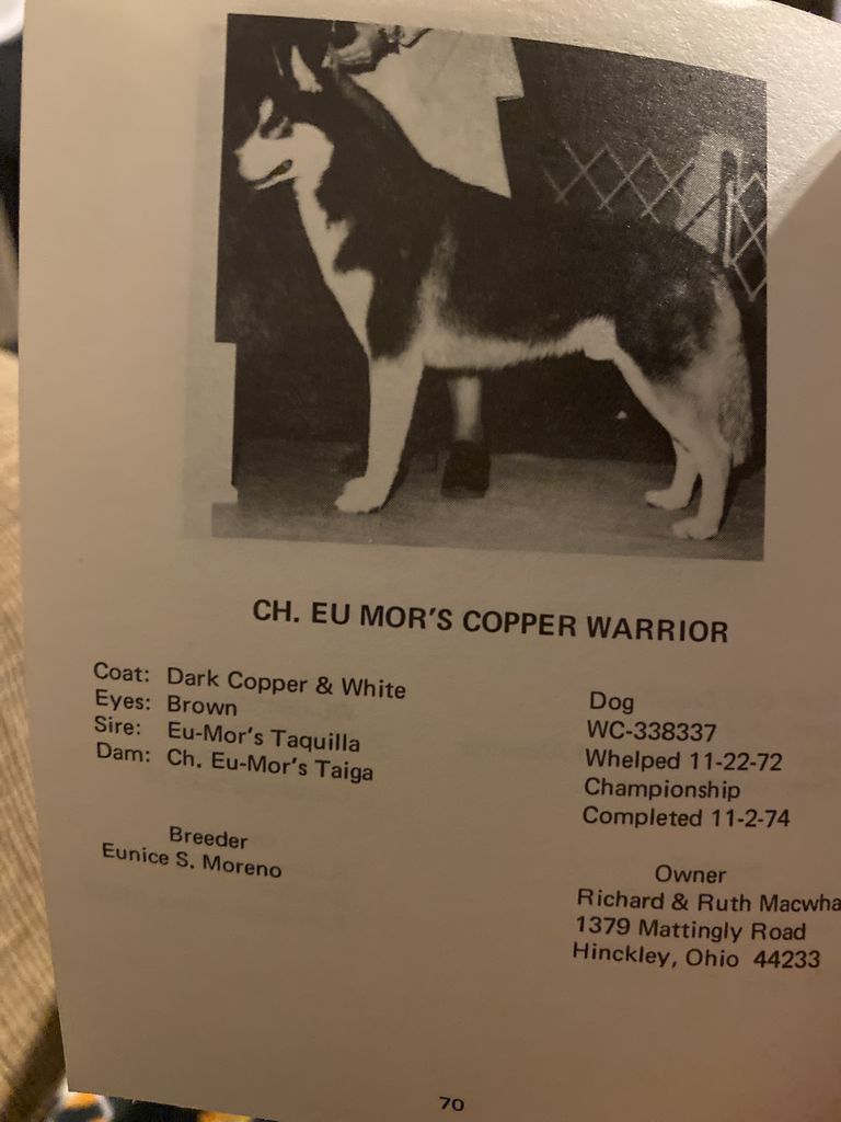 Photo of Eu Mor’s Copper Warrior