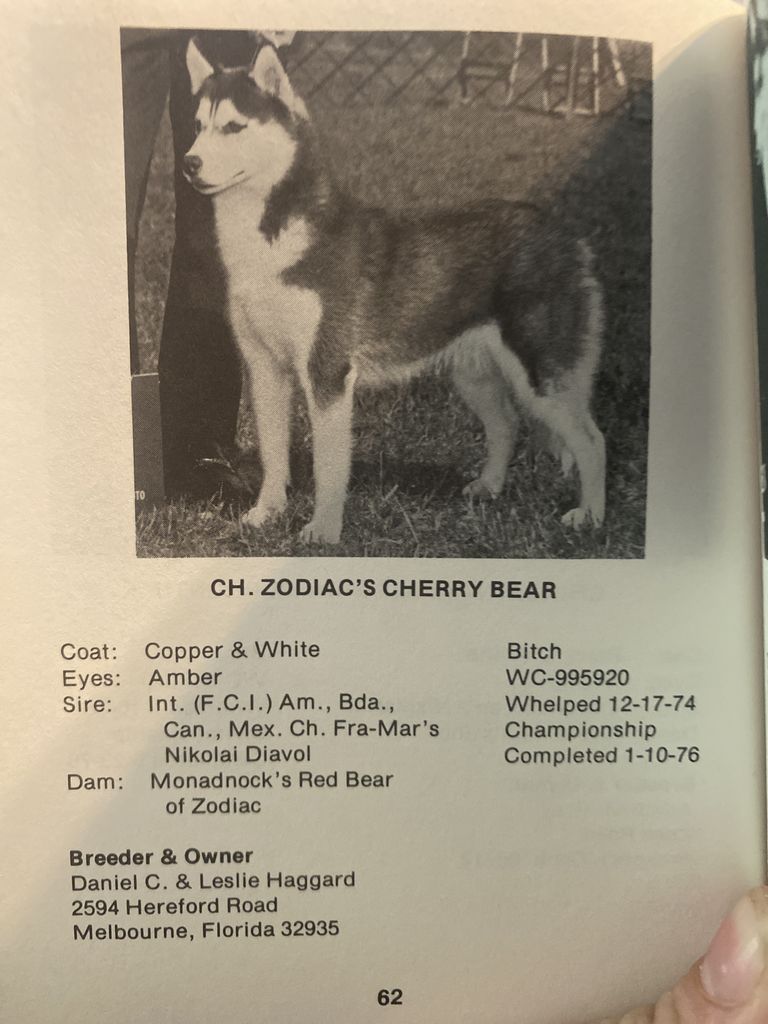 Photo of Zodiac’s Cherry Bear