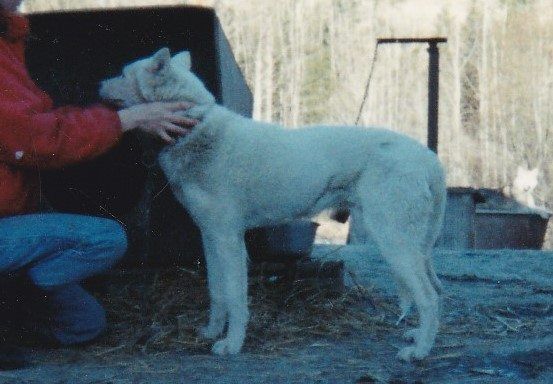 Photo of Sahti av Vargevass