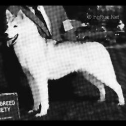 Photo of Sierra Sno Queen Of Kartoga