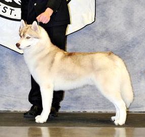Photo of Paragon’s Every Now And Zin