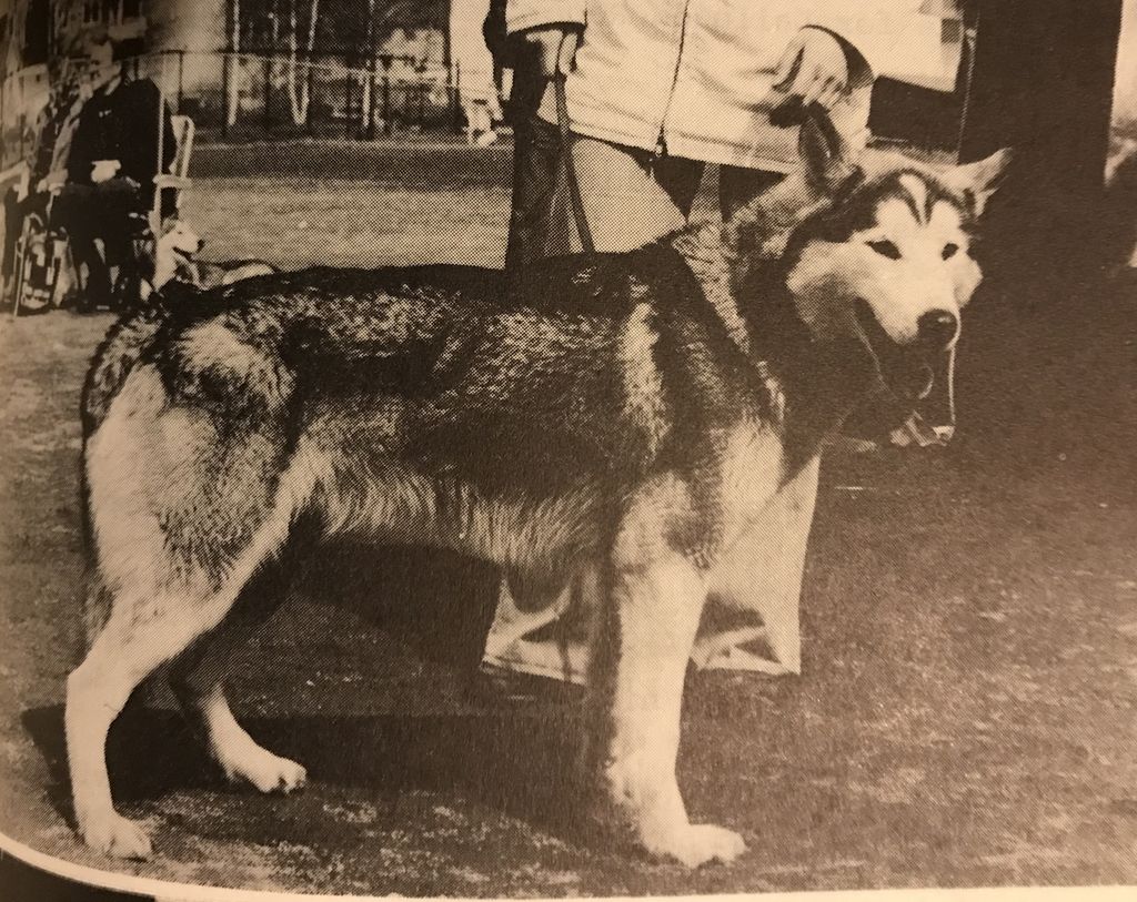 Photo of Trail-Blazer Of Kolyma