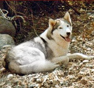 Photo of Karina of Kortar