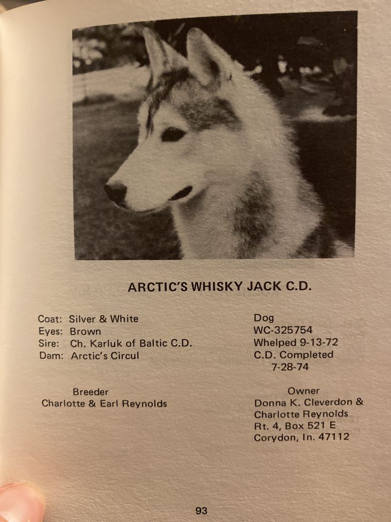 Photo of Arctic’s Whisky Jack