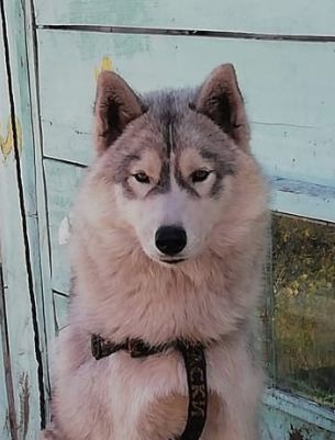 Photo of Shryodinger