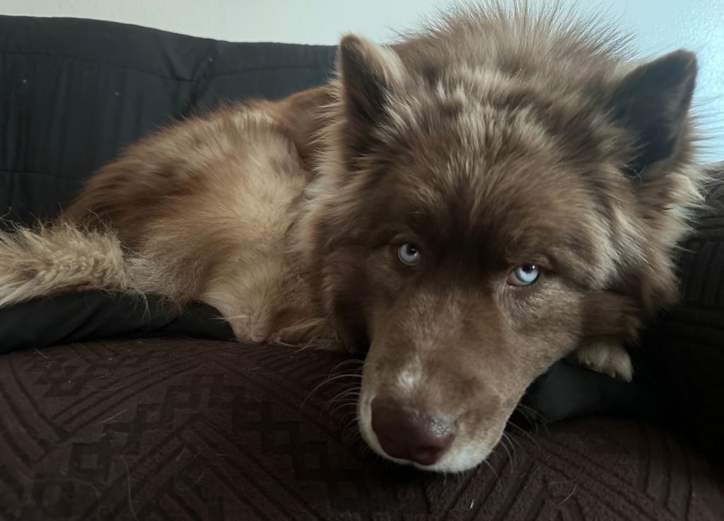 Photo of Bear Day