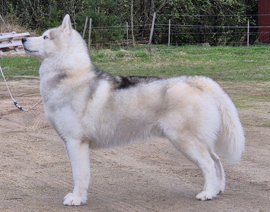 Photo of Kasper