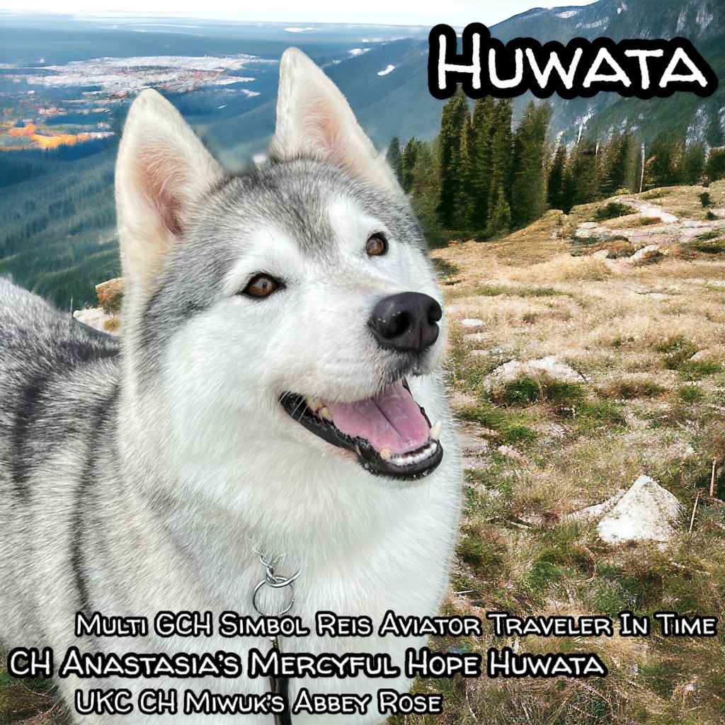 Photo of Anastasia’s Mercyful Hope Huwata