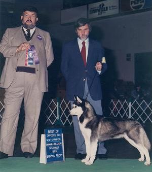 Photo of Royal Star’s Magic Marker