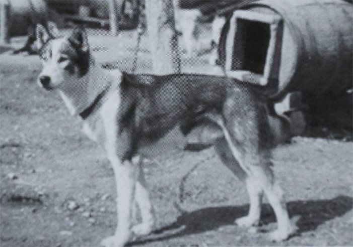 Photo of Lokiboden’s Mr Snuffalupagus