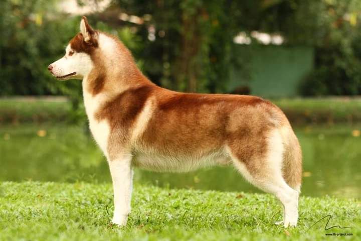 Photo of Figo Sliby