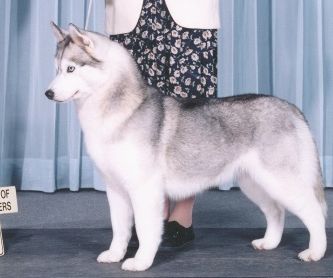 Photo of Thunderun’s Front Page News