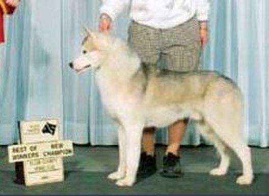 Photo of Kabu’s I Believe I Can Fly