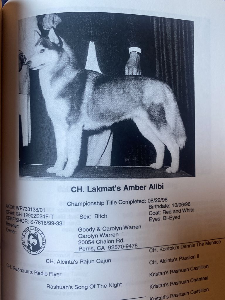 Photo of Lakmat’s Amber Alibi