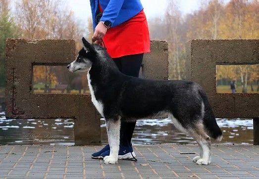 Photo of Mystic Winner Mimiteh