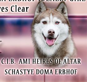 Photo of Ami Heires Of Altar Schastye Doma Erbhof