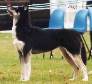 Photo of Forstal’s Eskra