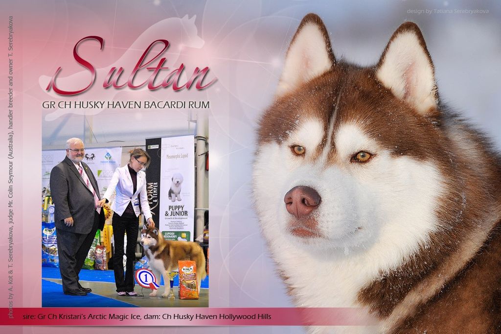 Photo of Husky Haven Bacardi Rum