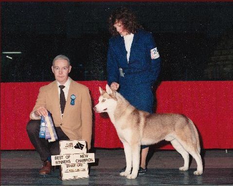 Photo of Kortar’s Kosby Kid