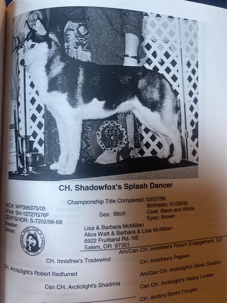 Photo of Shadowfox’s Splash Dancer