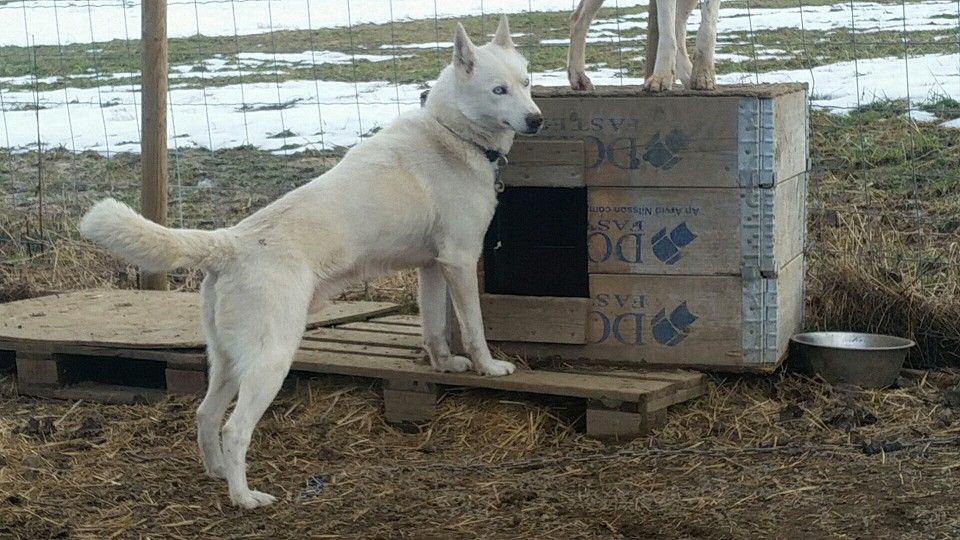 Photo of Albin