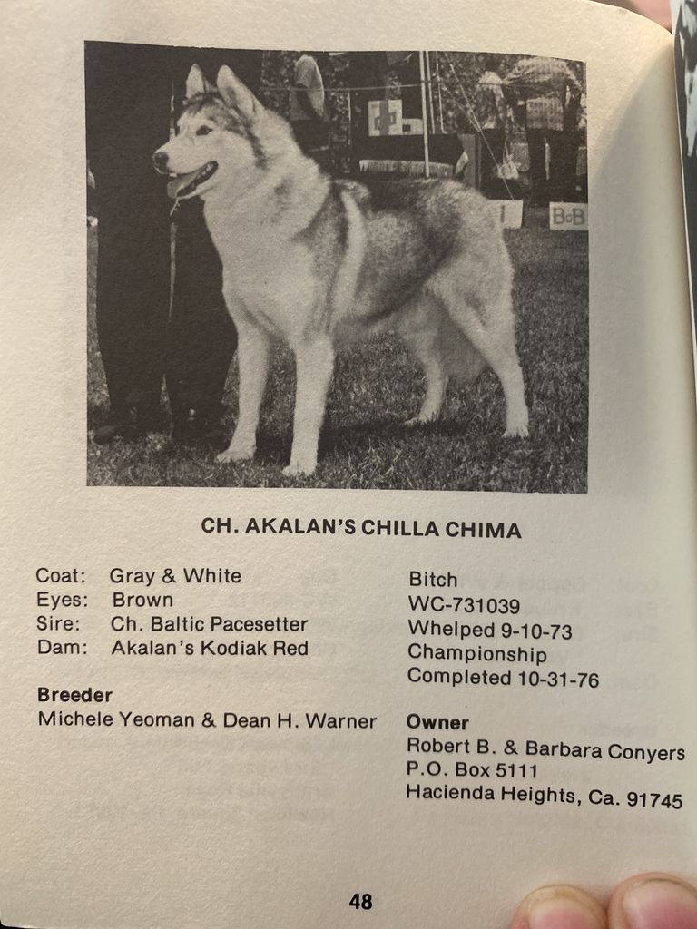 Photo of Akalan’s Chilla Chima