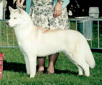 Photo of Shaina’s Vievia Victoria
