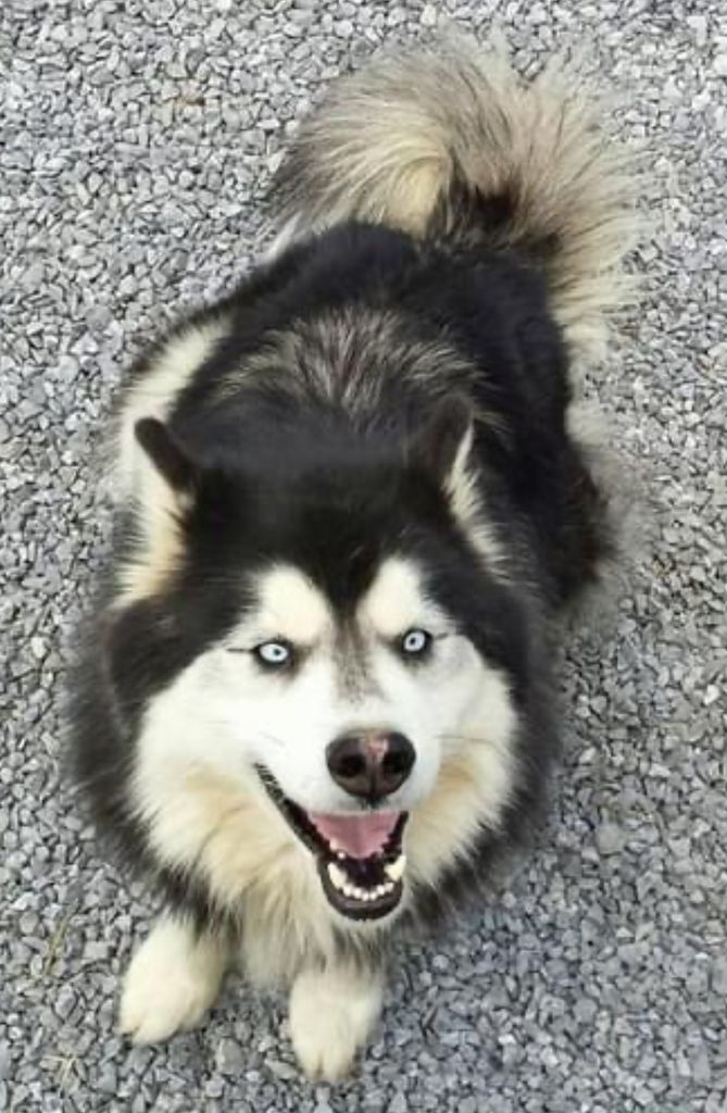 Photo of Rowdy Ryder