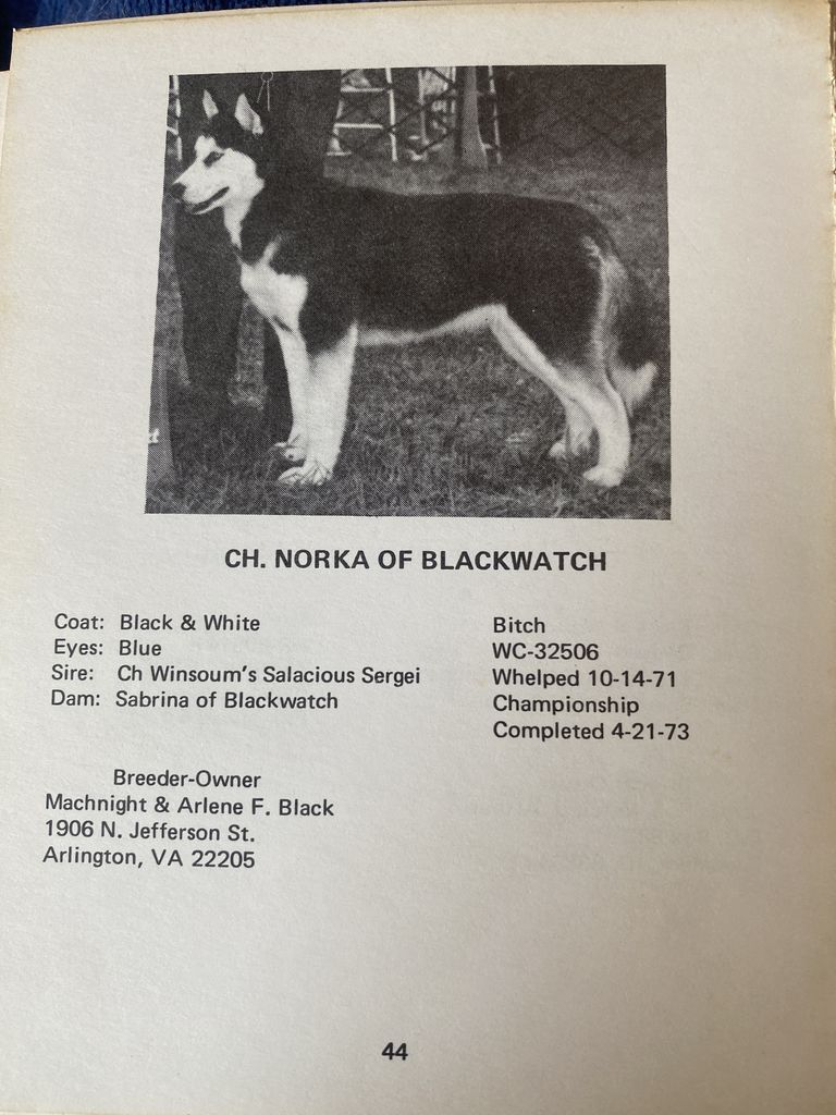 Photo of Norka of Blackwatch